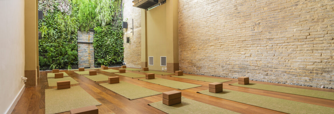 salas de yoga para alquilar | Descubre la tranquilidad en Blue Morpho